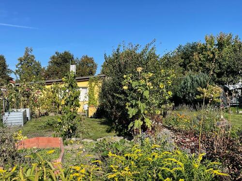 Foto - Garten in der Kleingartenanlage 'Sonnenaufgang' e.V.