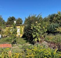 Garten in der Kleingartenanlage 