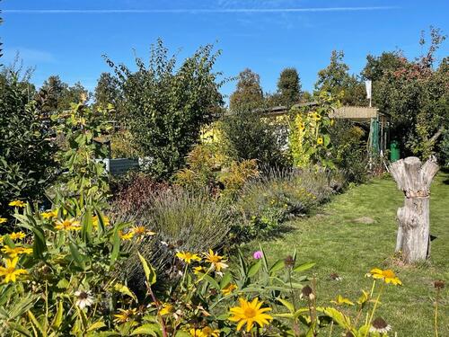 Foto - Grundst&uuml;ck zur Miete in Cottbus