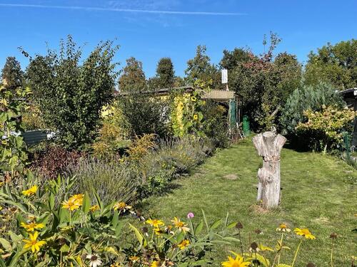 Foto - Grundst&uuml;ck in Cottbus