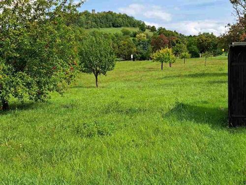 Foto - Grundstück in Bodelshausen zur Miete