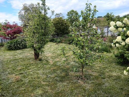 Foto - Grundstück in Zerbst (Anhalt)