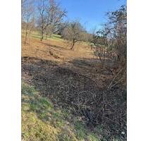 Steuobstwiese Und Waldgrundstück - Maintal