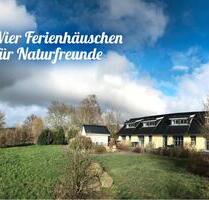 Inselromantik hoch 4: Ferieninvestment mit Herz auf Rügen - Gingst