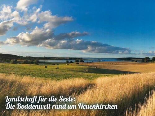 Foto - Mehrfamilienhaus, Wohnhaus in Gingst zum Kaufen