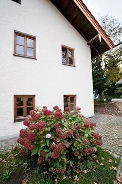 Foto - Etagenwohnung in Aßling zur Miete