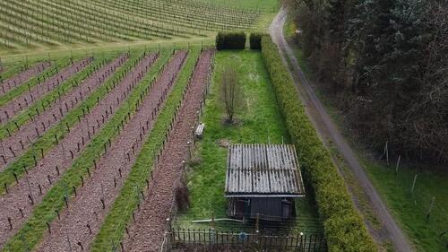Foto - Freizeitgarten Garten in Windesheim (Gartenhaus & Grillplatz)