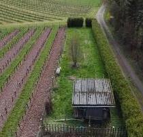 Freizeitgarten Garten in Windesheim (Gartenhaus & Grillplatz) - Guldental