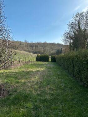 Foto - Grundst&uuml;ck zur Miete in Guldental
