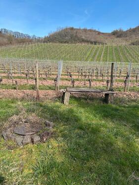 Foto - Grundst&uuml;ck in Guldental zur Miete