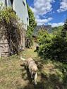 Foto - Einfamilienhaus in Netzschkau zum Kaufen