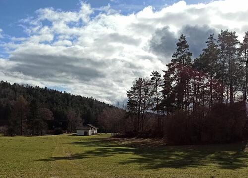 Foto - 5 Zimmer Einfamilienhaus in Birgland