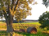 Foto - Bauernhaus, Landhaus in Küstriner Vorland zum Kaufen
