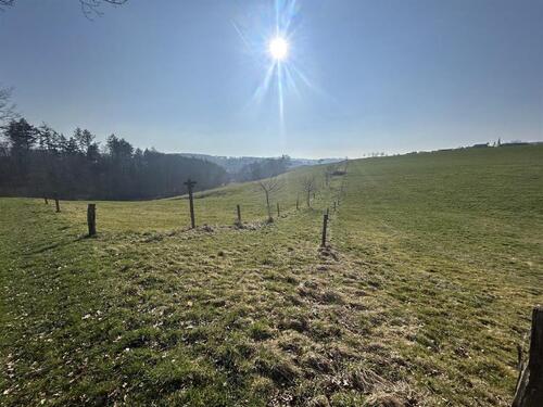 Foto - Großzügige Grünlandfläche in Hirschberg!