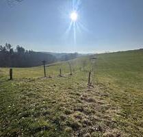 Großzügige Grünlandfläche in Hirschberg! - Warstein