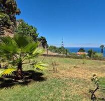 Ferienwohnung Teneriffa Norden - Icod - Siegburg