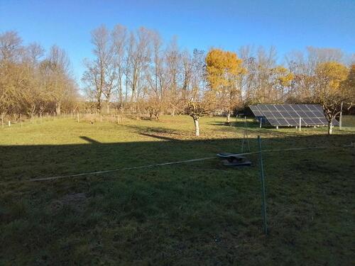 Foto - Doppelhaushälfte in Neuenkirchen zum Kaufen