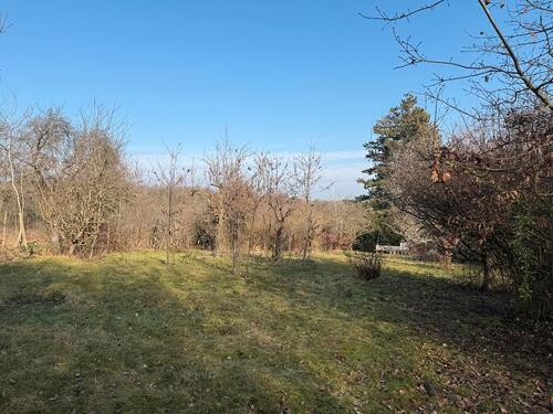 Foto - Garten in Bad Soden zu vermieten