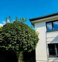 Foto - 2 ZKB mit Einbauküche 93 m2 - 1.050,00 EUR Kaltmiete,