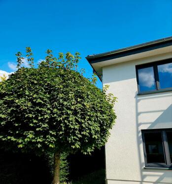 Foto - 2 ZKB mit Einbauküche 93 m2 - 1.050,00 EUR Kaltmiete,