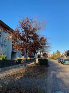 Foto - Erdgeschoßwohnung in Limburgerhof zum Kaufen