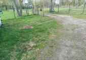Foto - andere in Hövelhof zur Miete
