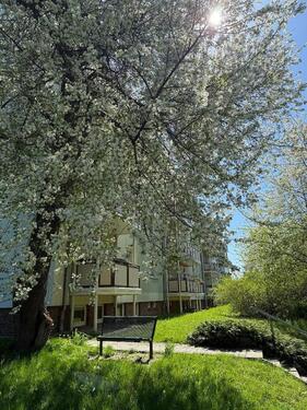 Foto - Charmante 2 Zimmer im 1. OG - 338,00&nbsp;EUR Kaltmiete, ca.&nbsp; 51,76&nbsp;m&sup2;