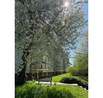 Charmante 2 Zimmer im 1. OG - 338,00&nbsp;EUR Kaltmiete, ca.&nbsp; 51,76&nbsp;m&sup2; in Wilkau-Haßlau (PLZ: 08112)