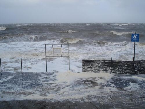 Foto - andere in Cuxhaven zur Miete