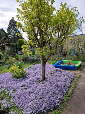 Foto - Wohnhaus mit großem Garten - 460.000,00 EUR Kaufpreis,