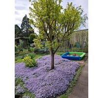 Wohnhaus mit großem Garten - 460.000,00 EUR Kaufpreis, in Heßheim (PLZ: 67258)