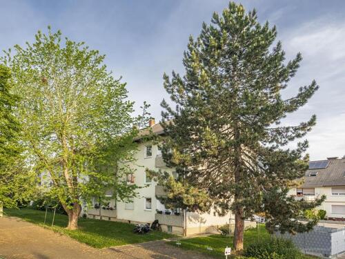 Foto - 2 Zimmer Etagenwohnung zur Miete in Kandel