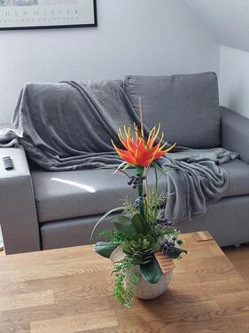 Foto - Maisonettenwohnung in Selb zur Miete