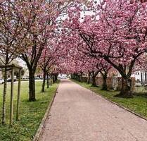 Großzügige 106 qm Maisonette in Dinslaken-Bruch zu verkaufen