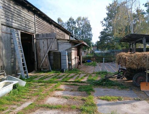 Foto - 2 Zimmer Doppelhaushälfte zum Kaufen in Tribsees