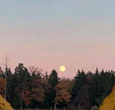 Foto - Bauernhof Wohnung - 800,00&nbsp;EUR Kaltmiete, ca.&nbsp; 60,00&nbsp;m&sup2;