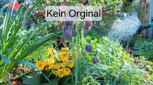 Foto - Kleingarten - 1.200,00&nbsp;EUR Kaltmiete, ca.&nbsp; 0,00&nbsp;m&sup2;