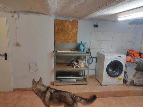 Foto - Reihenhaus in Ludwigshafen am Rhein zum Kaufen