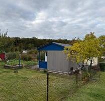 Kleingarten Carlshöhe zur Pacht - Neubrandenburg