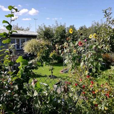 Foto - Garten in Stralsund, Gartenanlage Kupferteichwiesen