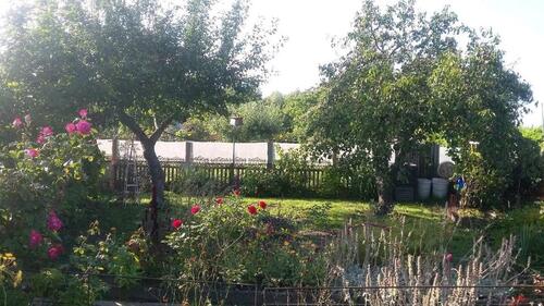 Foto - Grundst&uuml;ck zur Miete in Stralsund