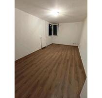 Renovierte 1-Zimmer Wohnung sofort verfügbar - Homburg