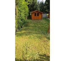3ZW 80m² in 3FH Garten Stellplatz MTZ Nähe - Sulzbach (Taunus)