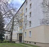 Striesen: Große 2-Zimmerwohnung nahe der Universitätsklinik - Dresden Blasewitz
