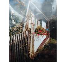 Pachtgarten - 700,00&nbsp;EUR Kaltmiete, ca.&nbsp; 0,00&nbsp;m&sup2; in Langenwetzendorf (PLZ: 07957)