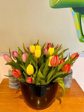 Foto - möblierte Wohnung im Stadtzentrum, gern für längere Zeit zu vermieten