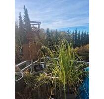 2 Zimmer Küche Bad mit Balkon - 530,00 EUR Kaltmiete, in Püttlingen (PLZ: 66346)