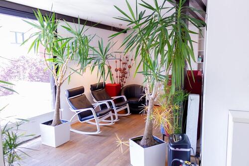 Foto - andere in Braunschweig