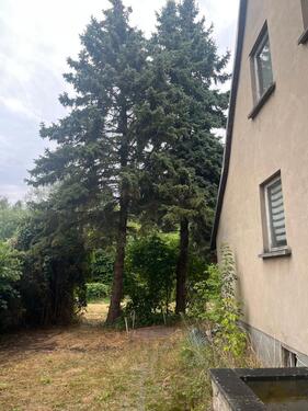 Foto - 7 Zimmer Einfamilienhaus zum Kaufen in Werder (Havel)