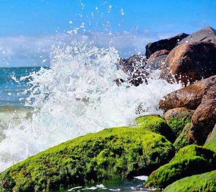 Foto - andere in Boltenhagen zur Miete